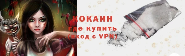 твердый Алексеевка