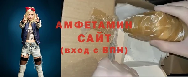 СК Алексин