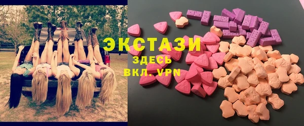 СК Алексин