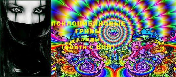 твердый Алексеевка
