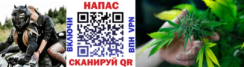 Бошки марихуана индика  Строитель 